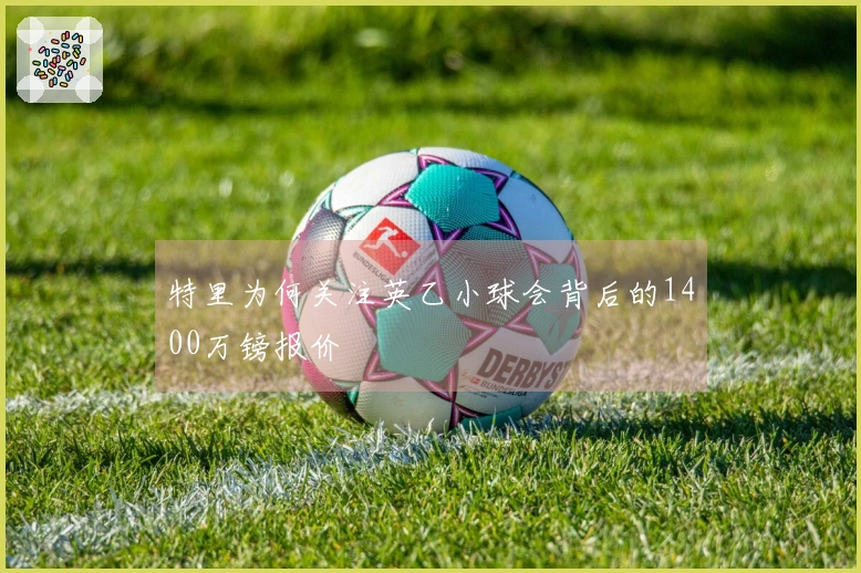 特里为何关注英乙小球会背后的1400万镑报价